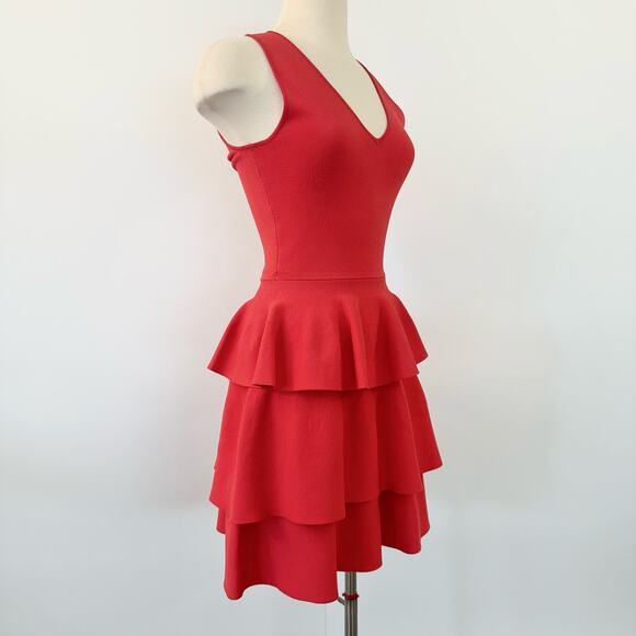 Parker Bermuda Knit Roseberry Ruffle Dress Mini | Size XS NWT - Picture 5 of 12